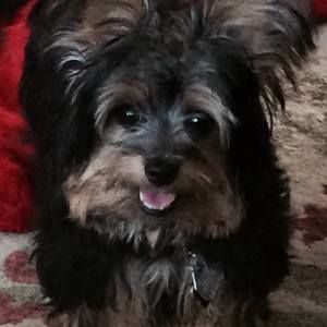 Meet your Posher, Apteka